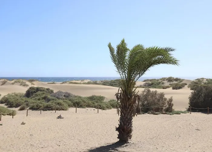 Dunas *